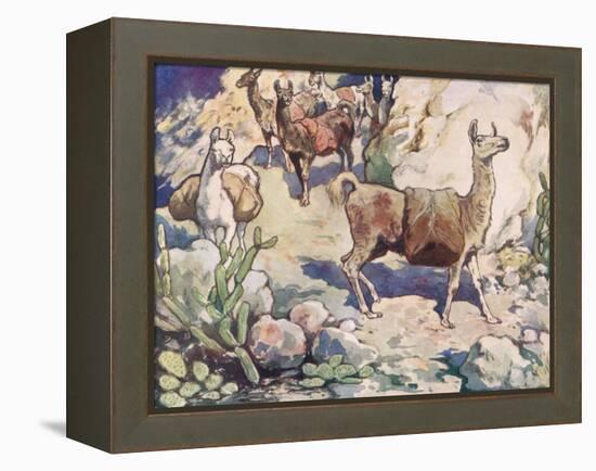 Alpacas on a Mountain Path-John Edwin Noble-Framed Premier Image Canvas