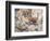 Alpacas on a Mountain Path-John Edwin Noble-Framed Premium Giclee Print