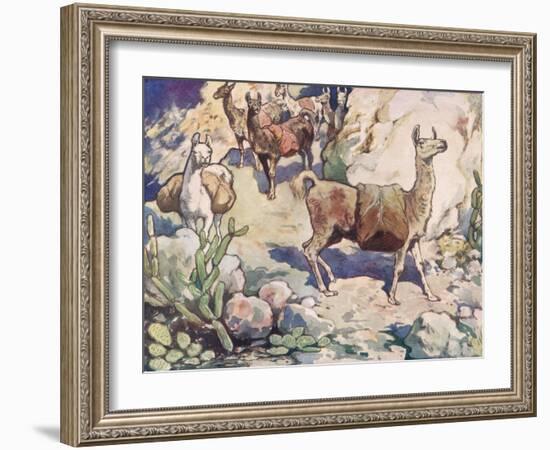 Alpacas on a Mountain Path-John Edwin Noble-Framed Giclee Print