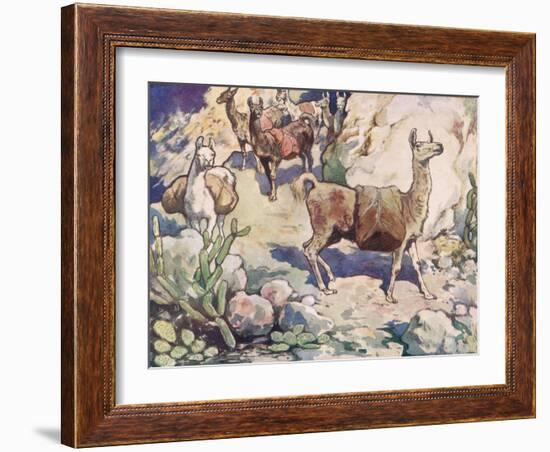 Alpacas on a Mountain Path-John Edwin Noble-Framed Giclee Print