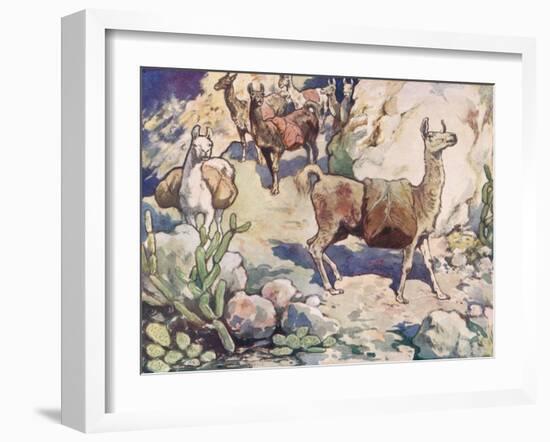 Alpacas on a Mountain Path-John Edwin Noble-Framed Giclee Print