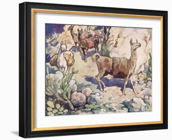 Alpacas on a Mountain Path-John Edwin Noble-Framed Giclee Print