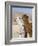 Alpacas Outside Local Home, Puno, Peru-Diane Johnson-Framed Photographic Print