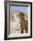 Alpacas Outside Local Home, Puno, Peru-Diane Johnson-Framed Photographic Print