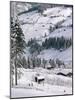 Alpbach, Austria-Adam Woolfitt-Mounted Photographic Print