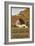 Alpen Posten-null-Framed Giclee Print