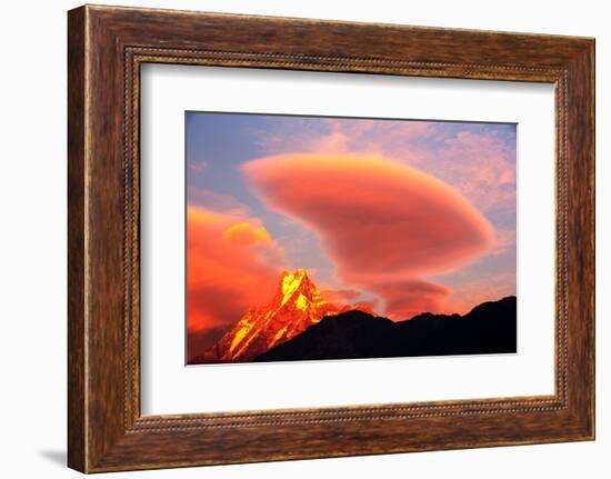 Alpenglow at sunset on Machapuchare, Nepelese Himalayas-Ashley Cooper-Framed Photographic Print