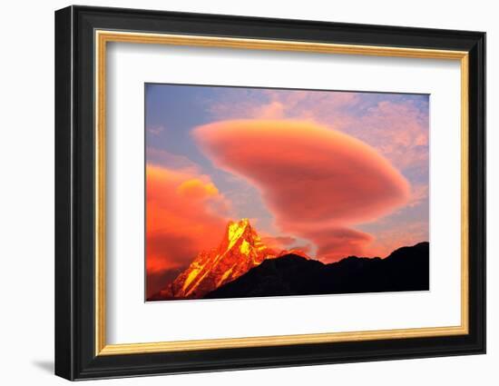 Alpenglow at sunset on Machapuchare, Nepelese Himalayas-Ashley Cooper-Framed Photographic Print