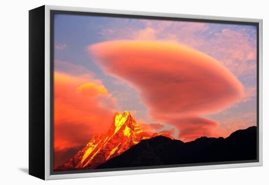 Alpenglow at sunset on Machapuchare, Nepelese Himalayas-Ashley Cooper-Framed Premier Image Canvas