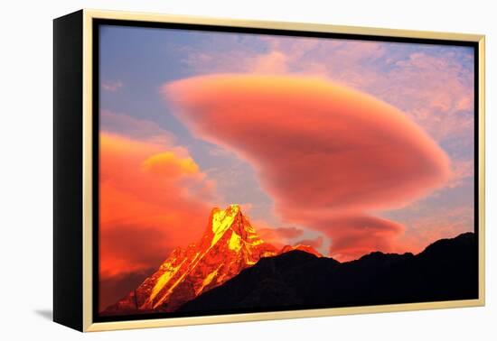 Alpenglow at sunset on Machapuchare, Nepelese Himalayas-Ashley Cooper-Framed Premier Image Canvas