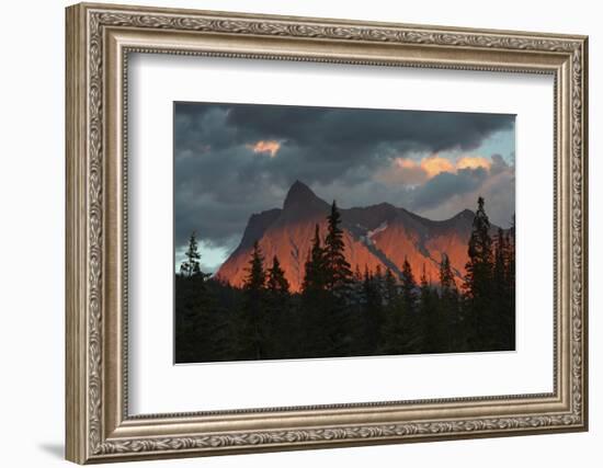 Alpenglow, from Kicking Horse River, British Columbia, Canada-Michel Hersen-Framed Photographic Print