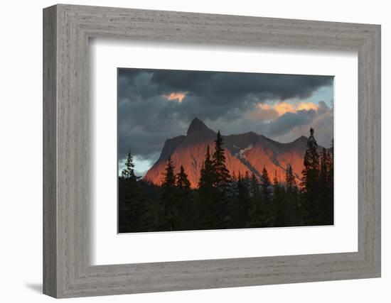 Alpenglow, from Kicking Horse River, British Columbia, Canada-Michel Hersen-Framed Photographic Print