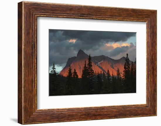 Alpenglow, from Kicking Horse River, British Columbia, Canada-Michel Hersen-Framed Photographic Print