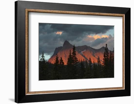 Alpenglow, from Kicking Horse River, British Columbia, Canada-Michel Hersen-Framed Photographic Print