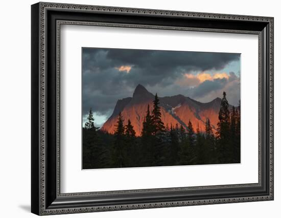 Alpenglow, from Kicking Horse River, British Columbia, Canada-Michel Hersen-Framed Photographic Print