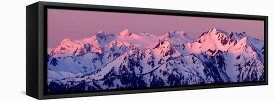 Alpenglow on Mt Olympus-Douglas Taylor-Framed Stretched Canvas