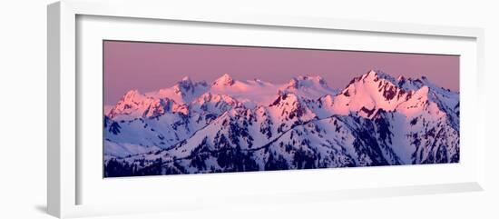 Alpenglow on Mt Olympus-Douglas Taylor-Framed Photo