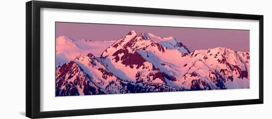 Alpenglow on Olympic Mountains-Douglas Taylor-Framed Photo