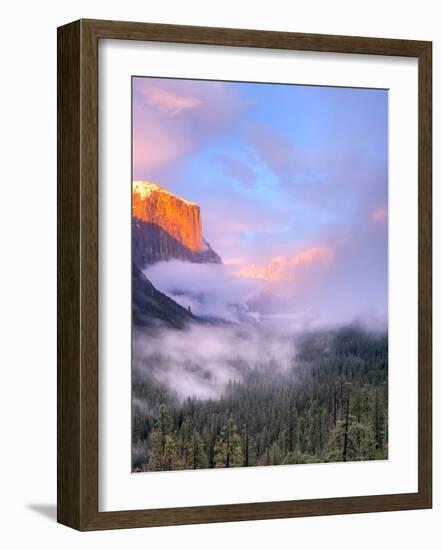 Alpenglow, Sunset Colors the Top of El Capitan, Yosemite, California, USA-Tom Norring-Framed Photographic Print