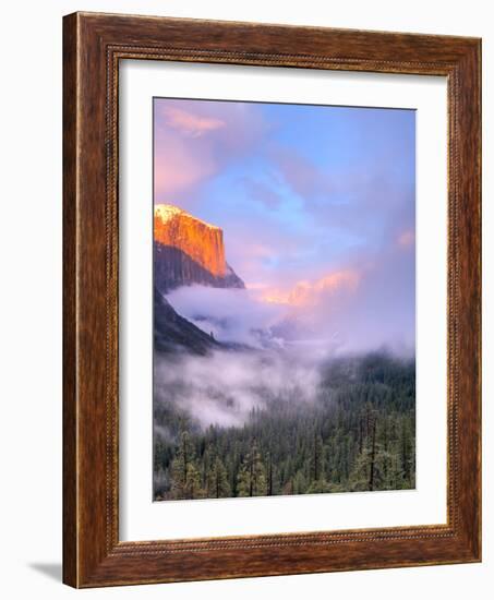 Alpenglow, Sunset Colors the Top of El Capitan, Yosemite, California, USA-Tom Norring-Framed Photographic Print