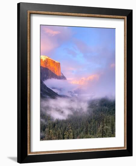 Alpenglow, Sunset Colors the Top of El Capitan, Yosemite, California, USA-Tom Norring-Framed Photographic Print