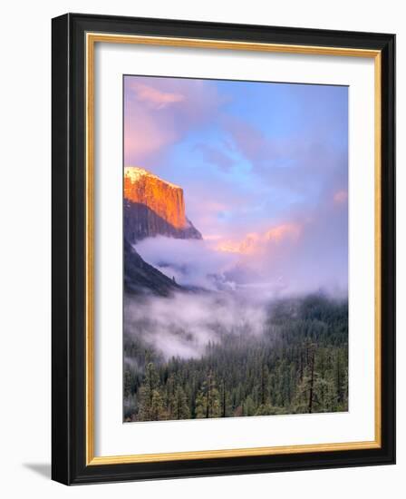 Alpenglow, Sunset Colors the Top of El Capitan, Yosemite, California, USA-Tom Norring-Framed Photographic Print