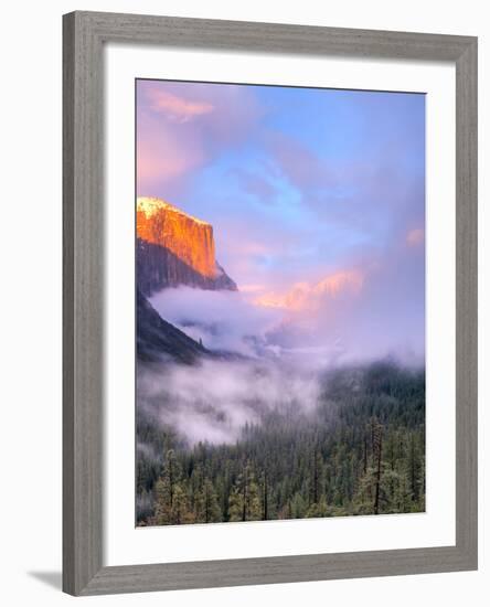 Alpenglow, Sunset Colors the Top of El Capitan, Yosemite, California, USA-Tom Norring-Framed Photographic Print