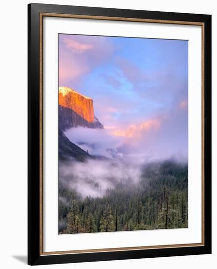 Alpenglow, Sunset Colors the Top of El Capitan, Yosemite, California, USA-Tom Norring-Framed Photographic Print