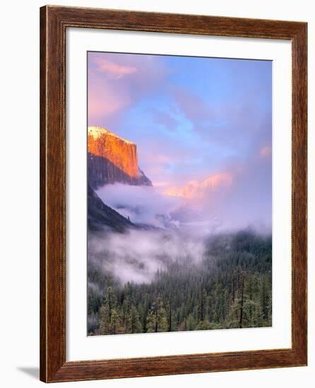 Alpenglow, Sunset Colors the Top of El Capitan, Yosemite, California, USA-Tom Norring-Framed Photographic Print