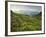 Alpenrose, Reiteralm, Dachstein, Ennstal, Styria, Austria-Rainer Mirau-Framed Photographic Print