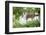 Alpha male Patas monkey on the lookout, Murchison Falls National Park, Uganda, Africa-Tom Broadhurst-Framed Photographic Print