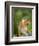 Alpha Male Proboscis Monkey in Territorial Stance, Sabah, Borneo-Mark Hannaford-Framed Photographic Print