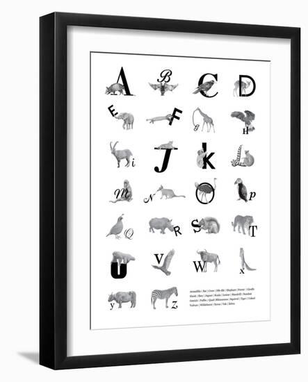 Alphabet Animals A-Z-Stacy Hsu-Framed Art Print