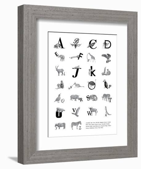 Alphabet Animals A-Z-Stacy Hsu-Framed Art Print