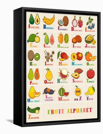 Alphabet & Fruit Vector Set-coffeee_in-Framed Stretched Canvas