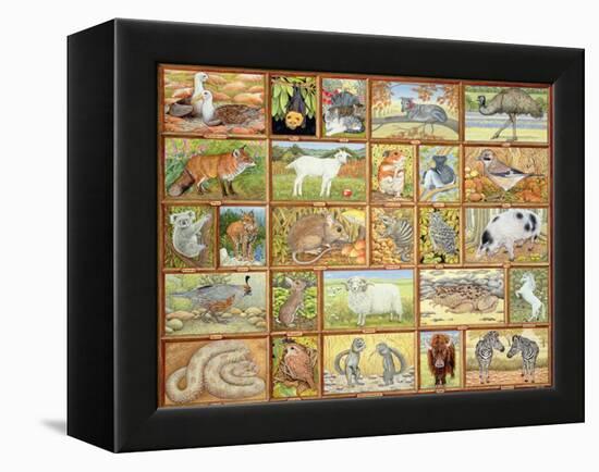 Alphabetical Animals-Ditz-Framed Premier Image Canvas