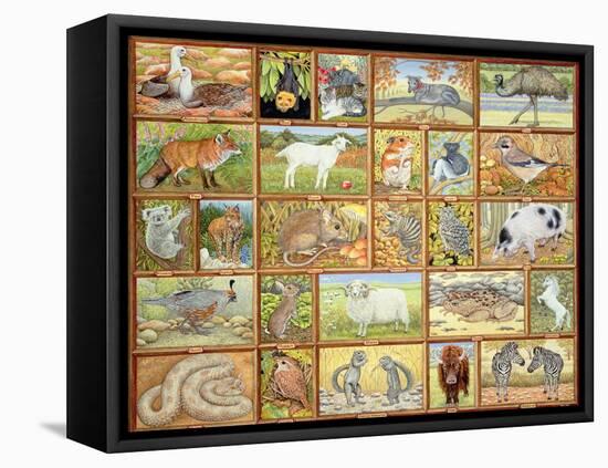 Alphabetical Animals-Ditz-Framed Premier Image Canvas