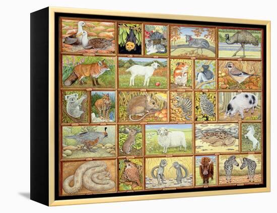 Alphabetical Animals-Ditz-Framed Premier Image Canvas