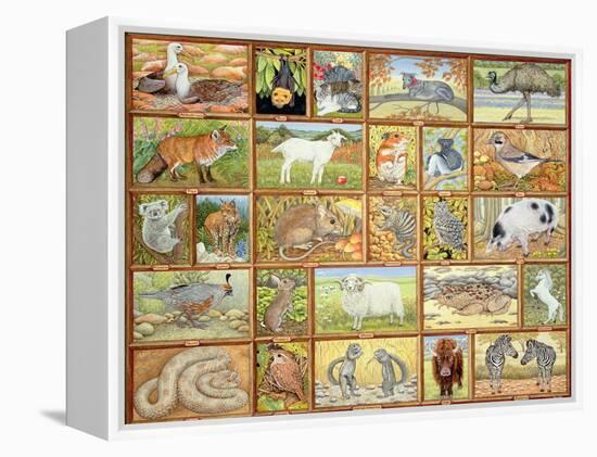 Alphabetical Animals-Ditz-Framed Premier Image Canvas