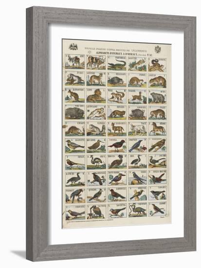 Alphabets d'animaux et d'oiseaux-null-Framed Giclee Print