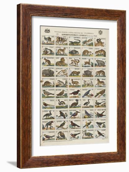 Alphabets d'animaux et d'oiseaux-null-Framed Giclee Print