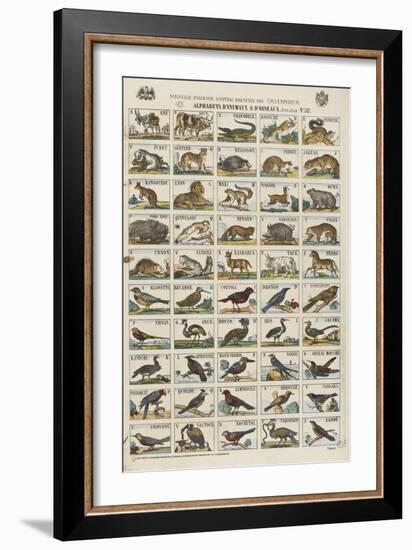 Alphabets d'animaux et d'oiseaux-null-Framed Giclee Print