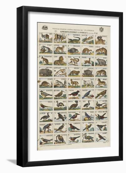 Alphabets d'animaux et d'oiseaux-null-Framed Giclee Print