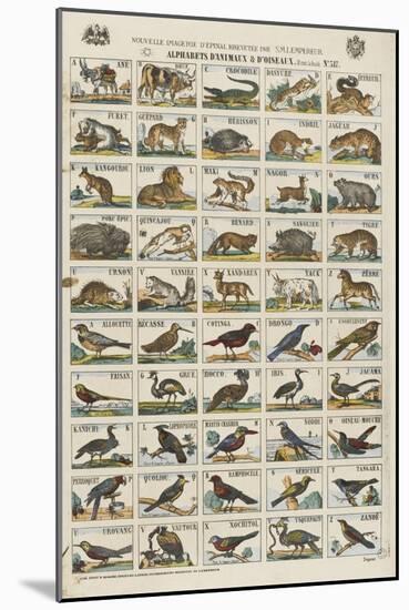 Alphabets d'animaux et d'oiseaux-null-Mounted Giclee Print
