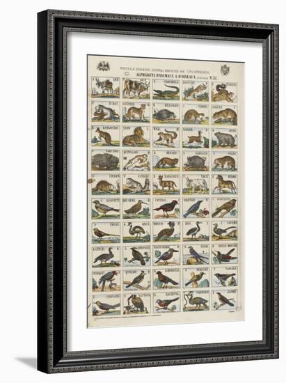 Alphabets d'animaux et d'oiseaux-null-Framed Giclee Print