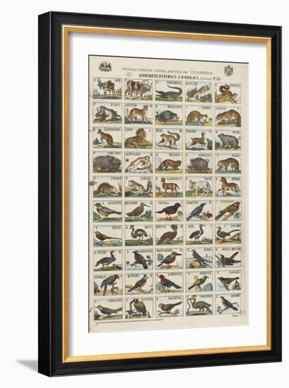 Alphabets d'animaux et d'oiseaux-null-Framed Giclee Print