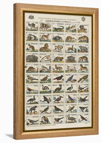 Alphabets d'animaux et d'oiseaux-null-Framed Premier Image Canvas