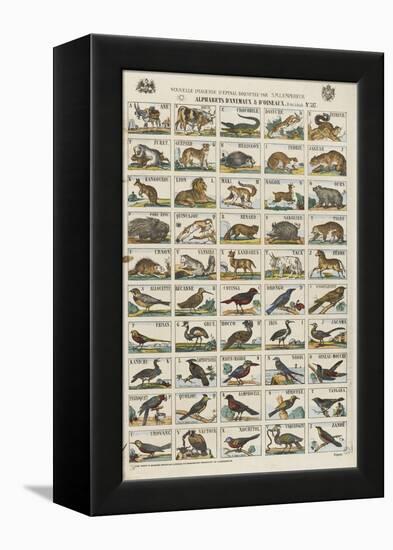 Alphabets d'animaux et d'oiseaux-null-Framed Premier Image Canvas