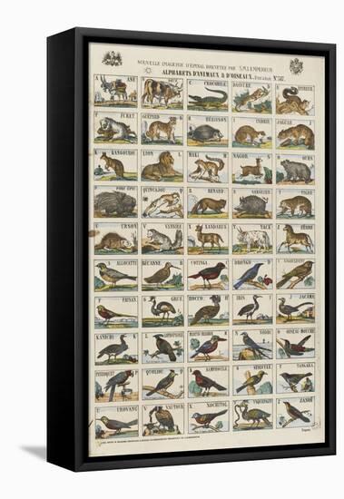 Alphabets d'animaux et d'oiseaux-null-Framed Premier Image Canvas