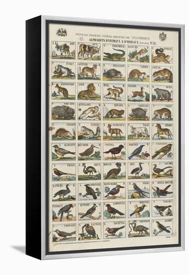 Alphabets d'animaux et d'oiseaux-null-Framed Premier Image Canvas